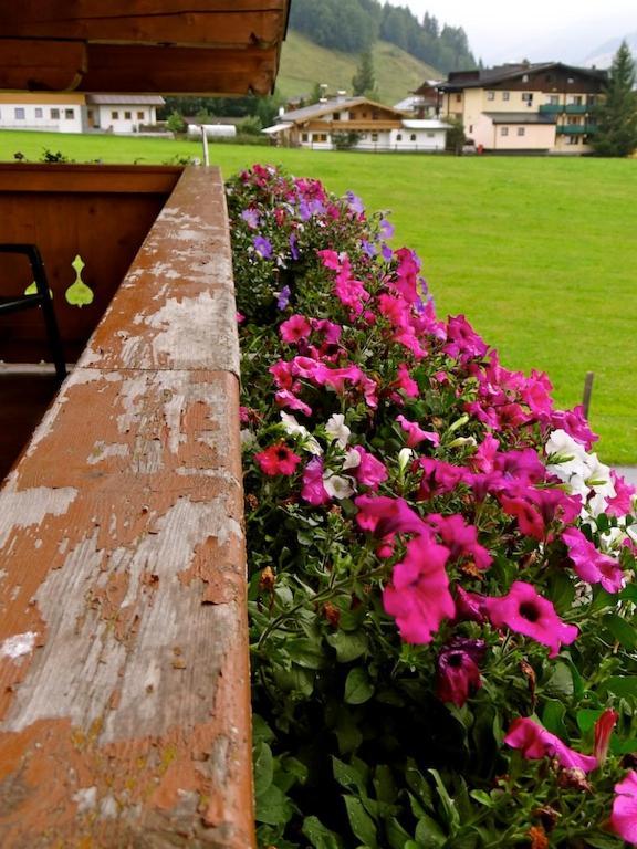 Ski & Bike Pension Maria Saalbach-Hinterglemm Zewnętrze zdjęcie